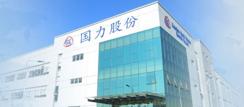 国力科技 海外与国内双重挑战下的困局与突围